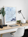 MONTPELLIER Map Poster - Illustrated City Map Print - Mappora